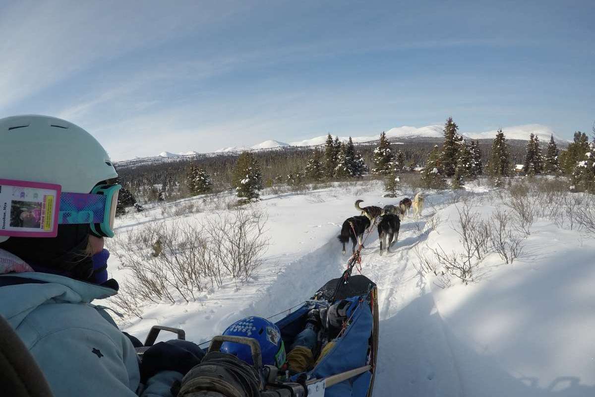 Sit in the sled. Feel the North come alive