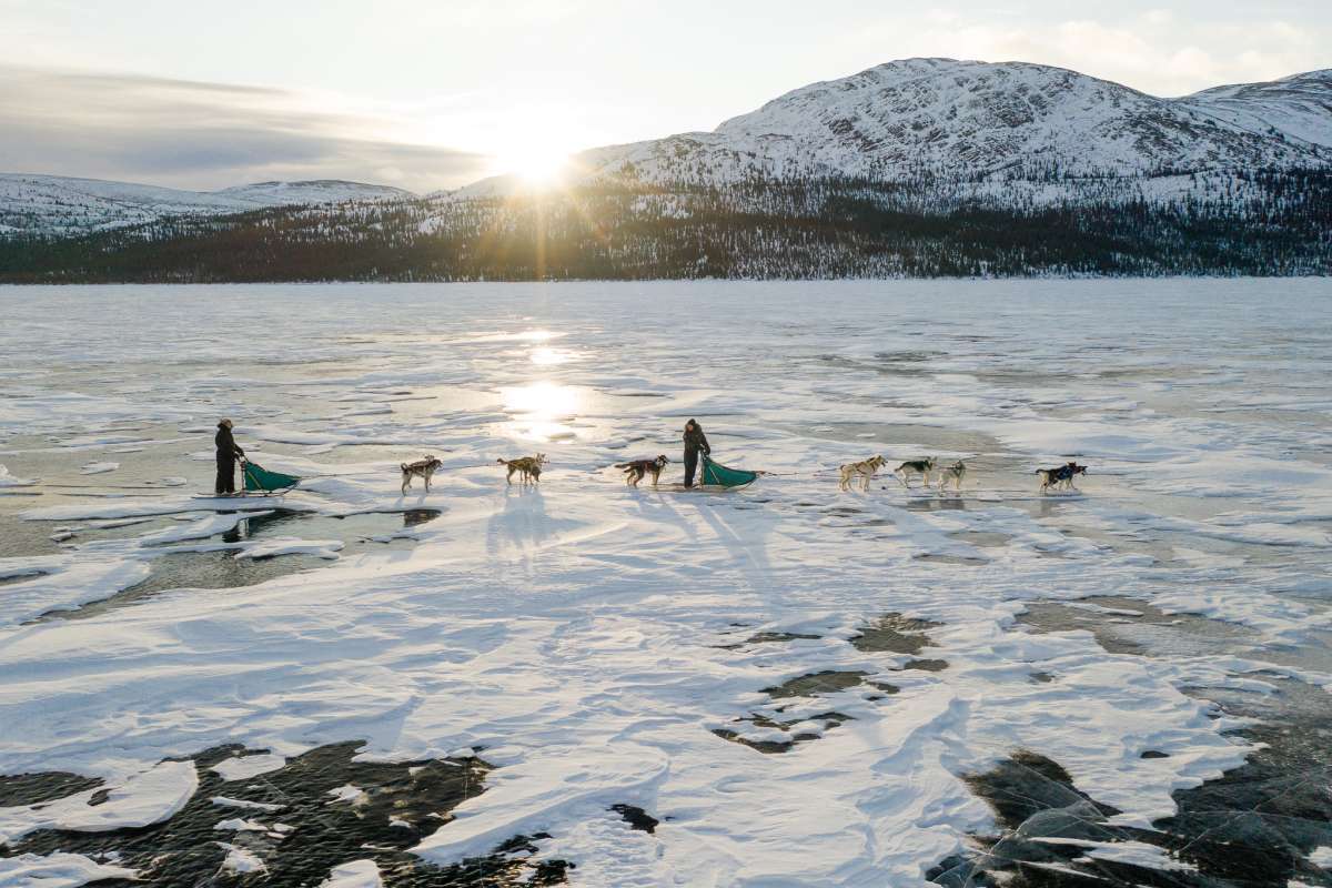 Your Dog Team Is Waiting