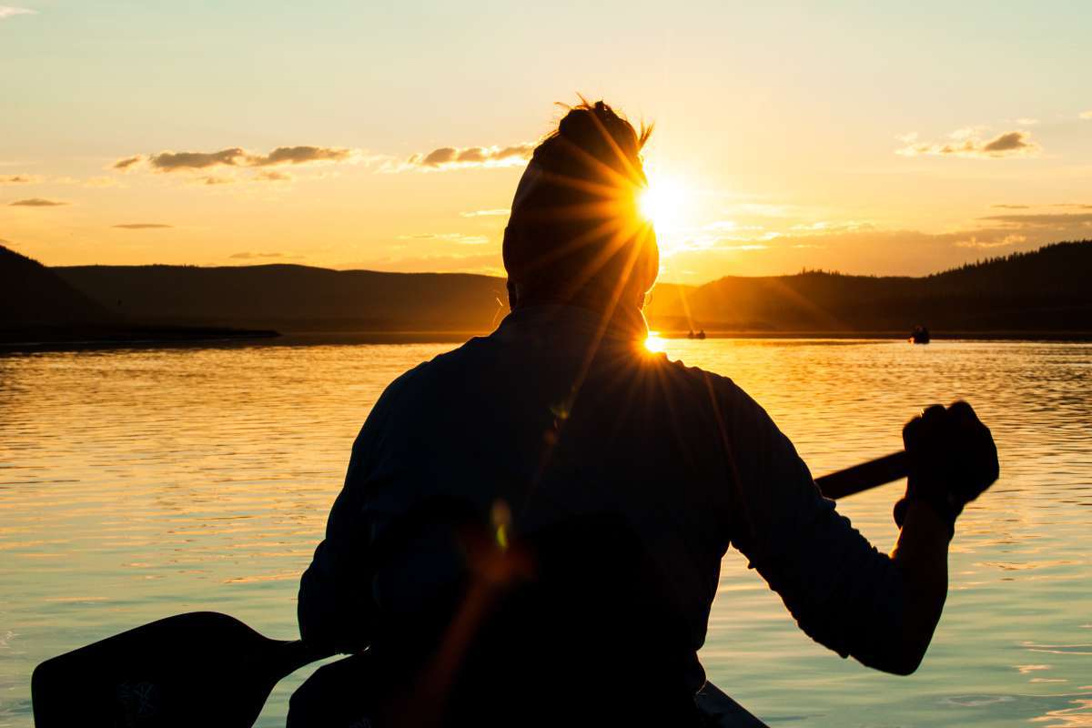 Still Wild after 20 years